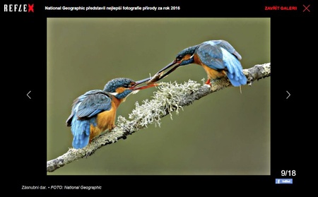 16 nejlepších fotografií z přírody za rok 2016
